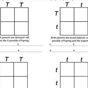 Meet your Posher, Phillip